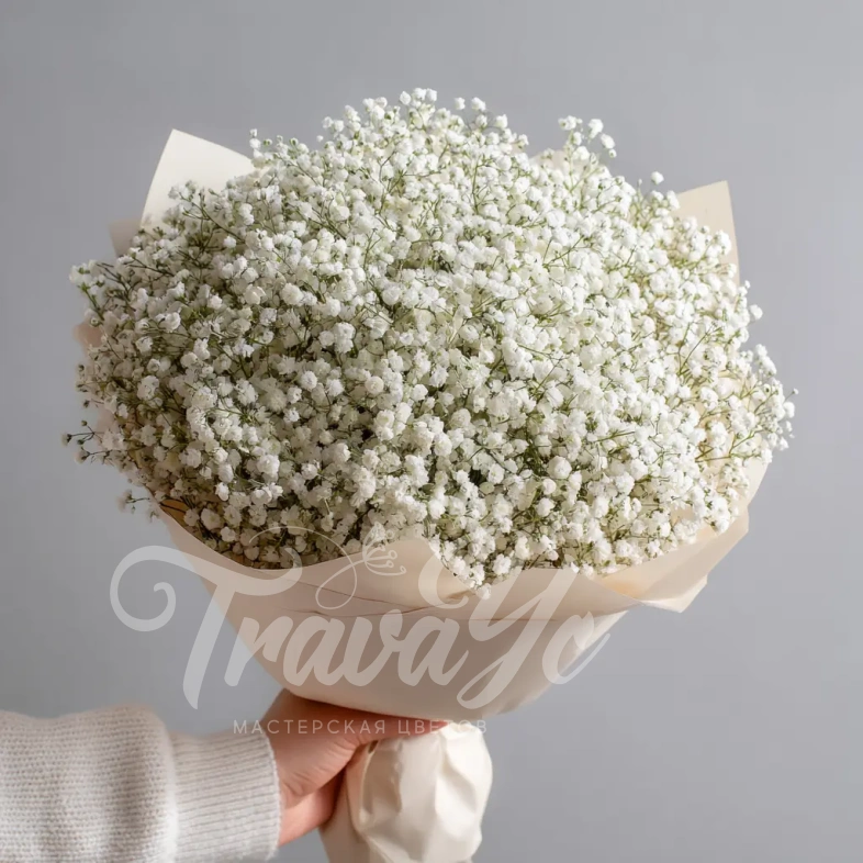 Монобукет из белой гипсофилы