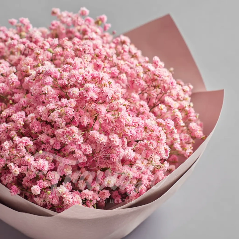 Монобукет из гипсофилы &laquo;Ажурный комплимент&raquo;