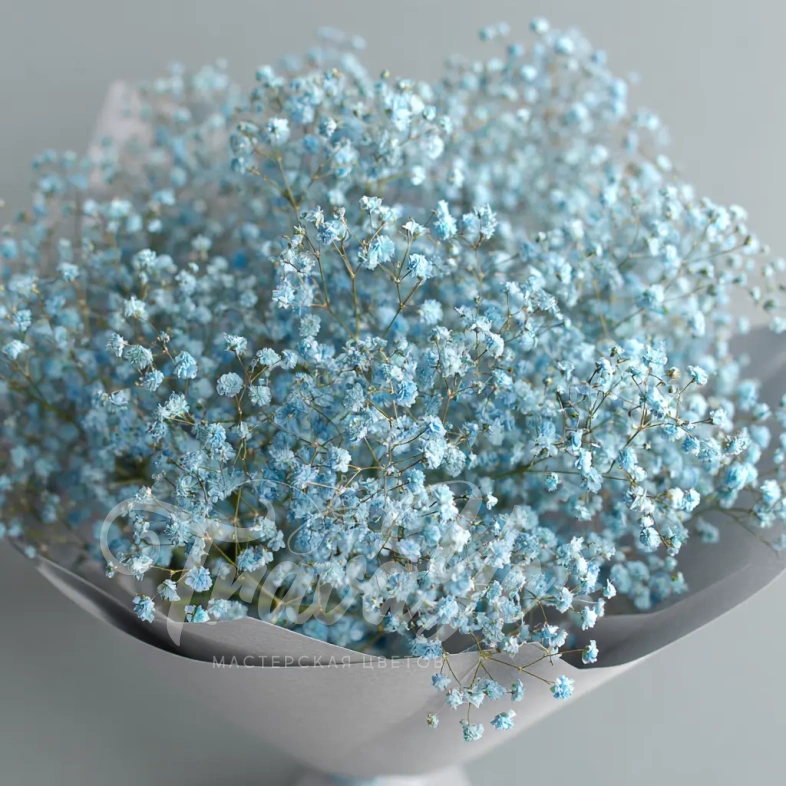 Монобукет из голубой гипсофилы