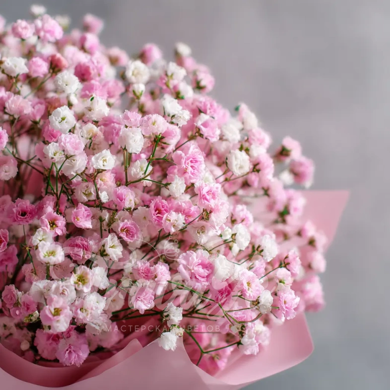 Монобукет из гипсофилы &laquo;Перламутровое облако&raquo;