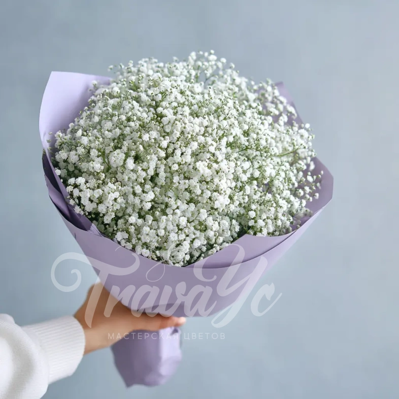 Монобукет из гипсофилы &laquo;Облачная нега&raquo;