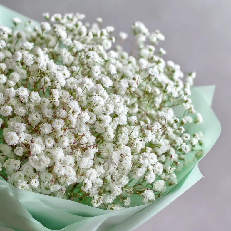 Монобукет из гипсофилы &laquo;Молочная вуаль&raquo;