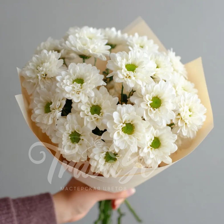 Монобукет из белых хризантем