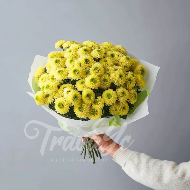 Монобукет из хризантем &laquo;Солнечное касание&raquo;