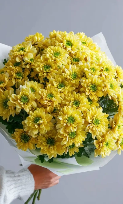 Монобукет из хризантем «Солнечное касание»