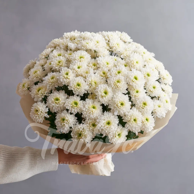 Монобукет из хризантем &laquo;Белое облако&raquo;