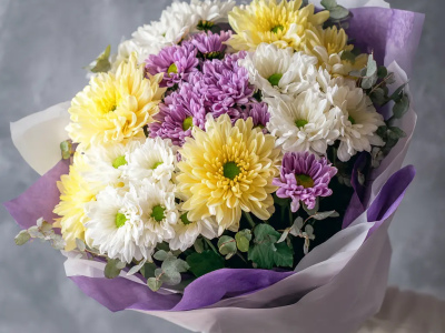 Монобукет из хризантем «Сиреневый рассвет»