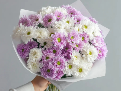 Монобукет из хризантем «Нежный комплимент»