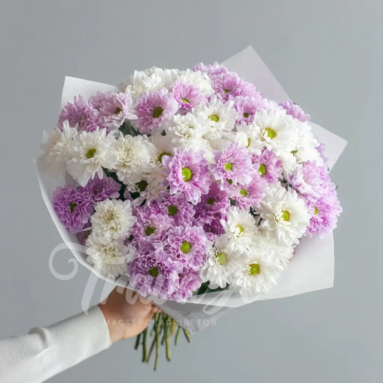 Монобукет из хризантем &laquo;Нежный комплимент&raquo;