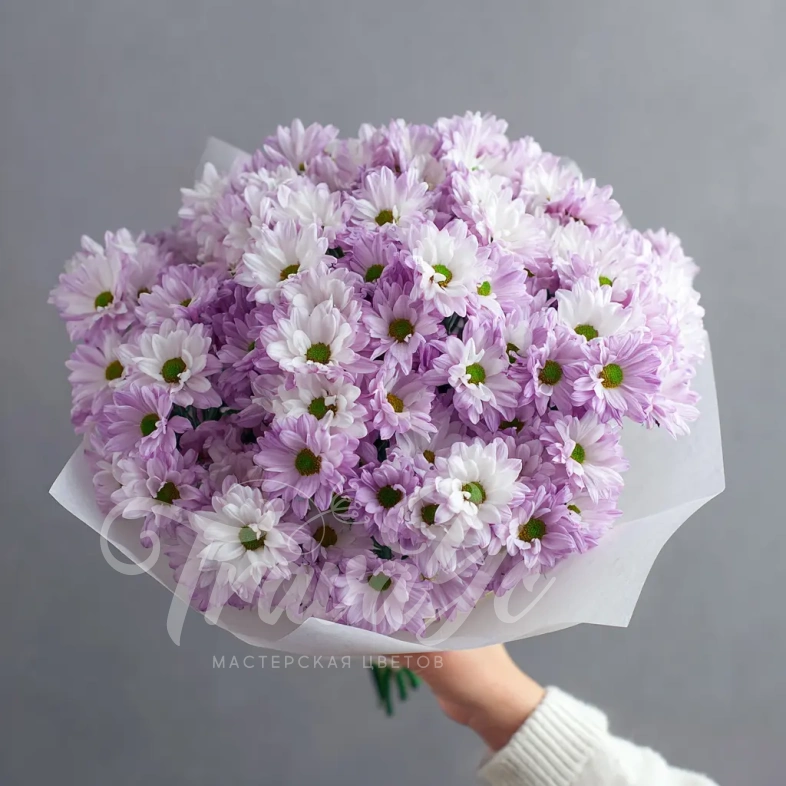 Монобукет из хризантем &laquo;Нежный комплимент&raquo;